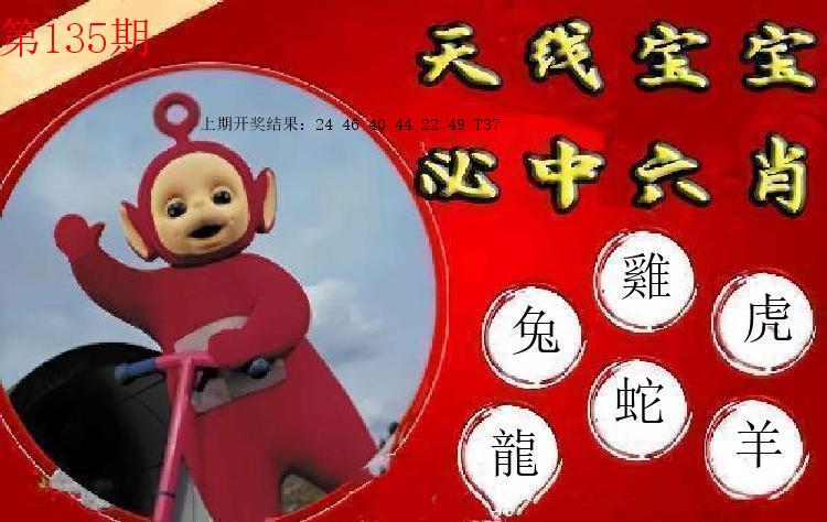 第134期