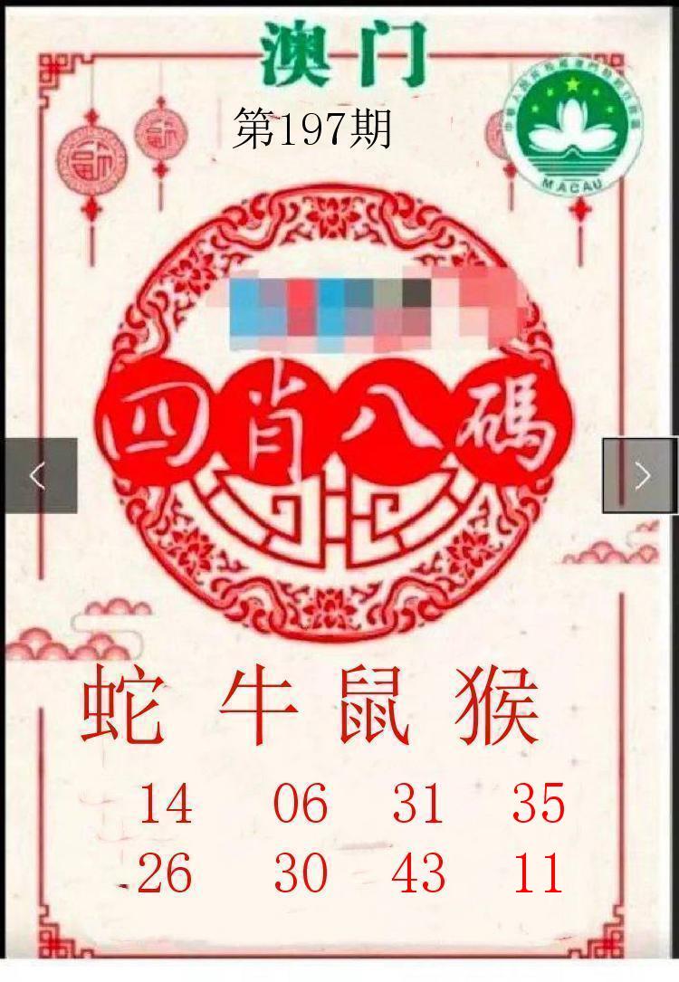 第196期