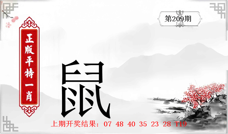 第208期