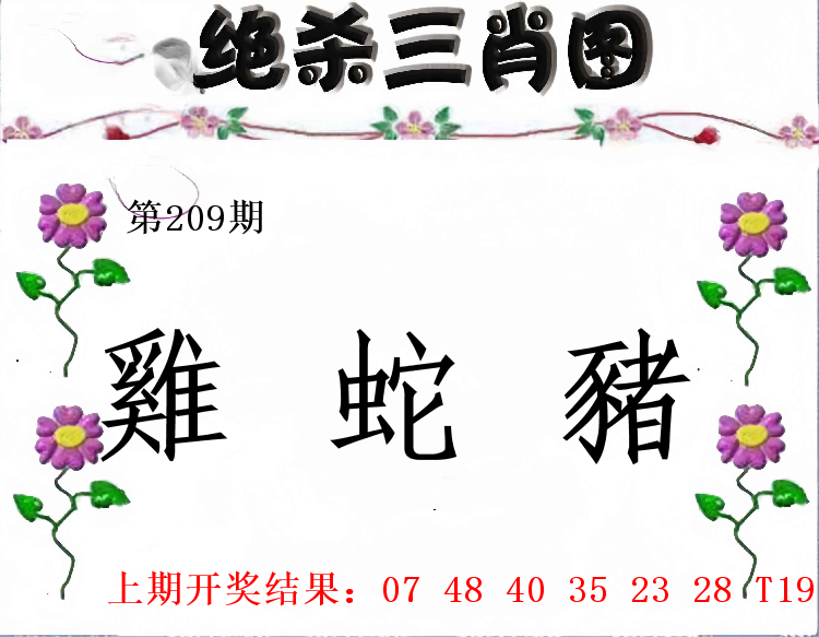 第208期